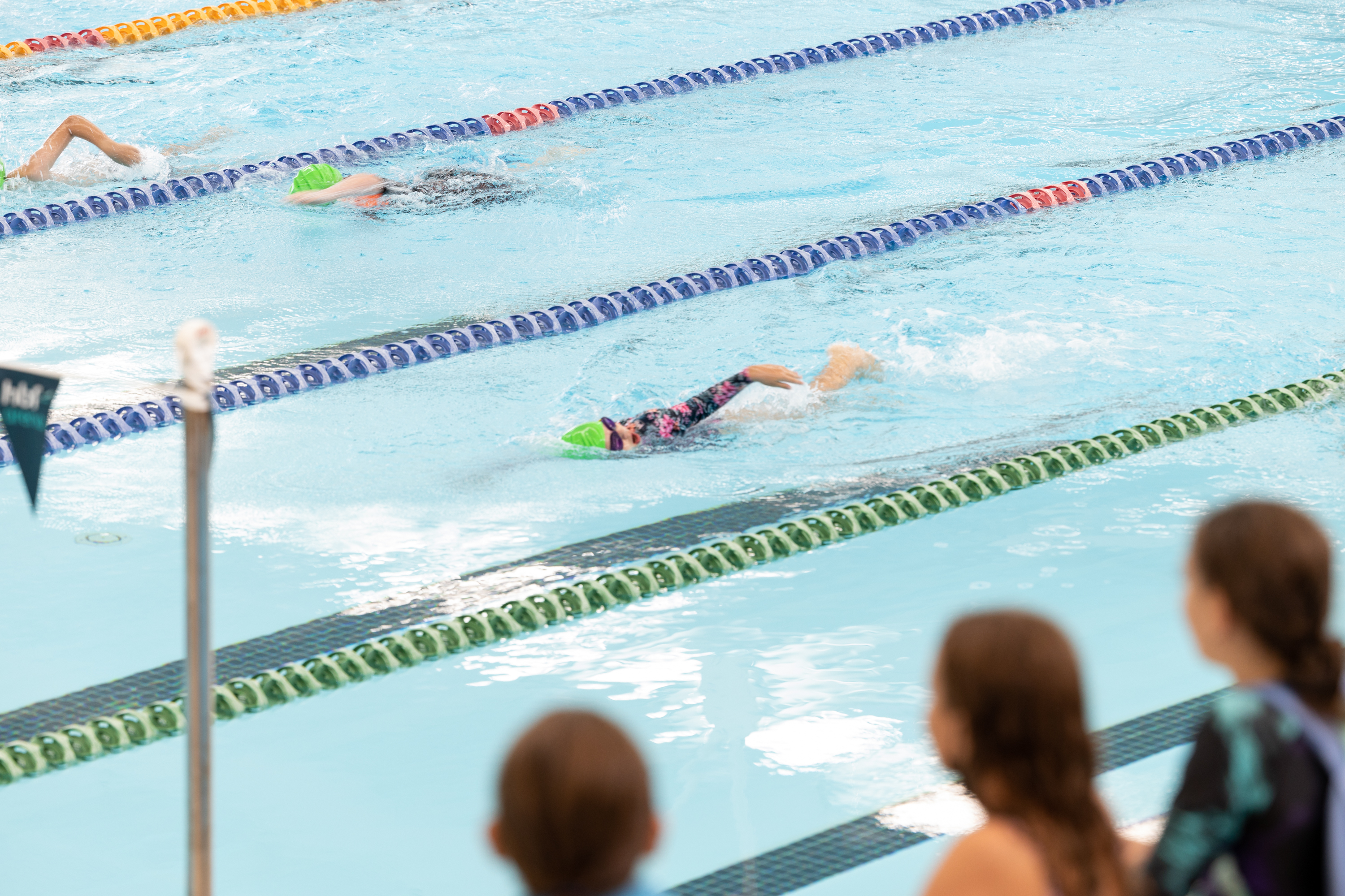 Swimmer nearing the finish line in school swimming carnival race