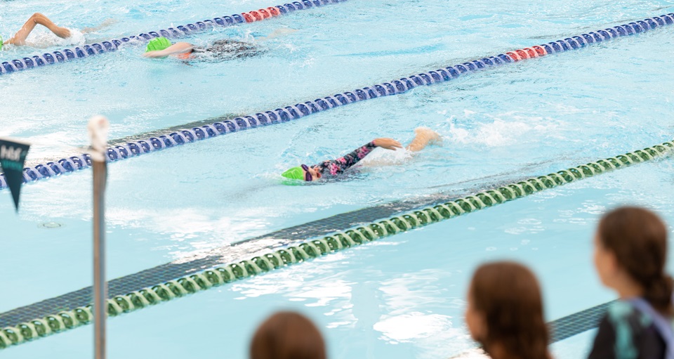 Swimmer nearing the finish line in school swimming carnival race